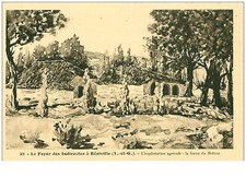 82.REALVILLE.n°9965.LE FOYER DES INDIRECTES.L'EXPLOITATION AGRICOLE.LA FERME