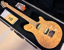 Electric guitar ernie ball - guitar,
