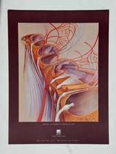 Affiche dessin anatomie - Audition les rampes et l'organe de Corti - de Perrois