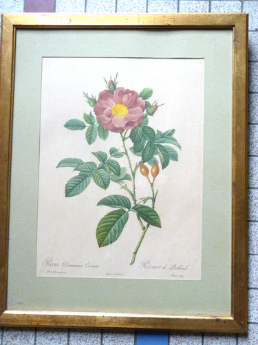 Lithographie encadrée signée