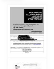VAE AUXILIAIRE DE PUERICULTURE
