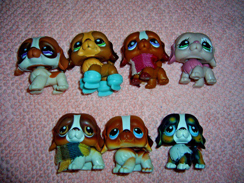 Lot littlest pet - de,