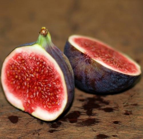 Ficus carica violette de - ficus,