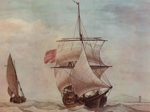 Illustration marine voile - marine,