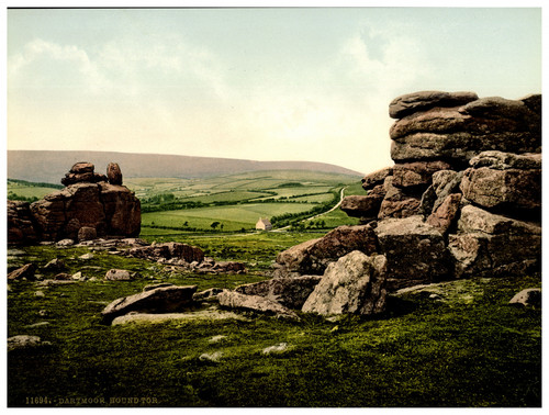 Angleterre dartmoor hound - angleterre.,