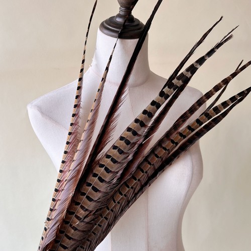 5pcs faisan queue plumes - 5pcs,