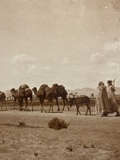 Ancienne Photographie Algérie