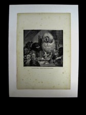 ANIMAUX - 1 CHAT / 2 CHIENS /