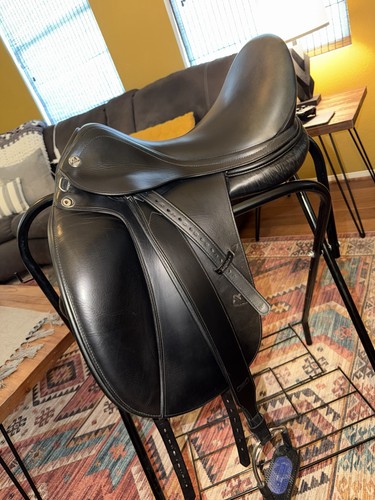 Prestige italia dressage - prestige, d2