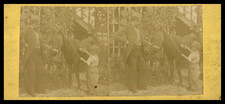 Garçon brossant son poney, ca.1880, stéréo Tirage vintage stéréo, tirage d&#