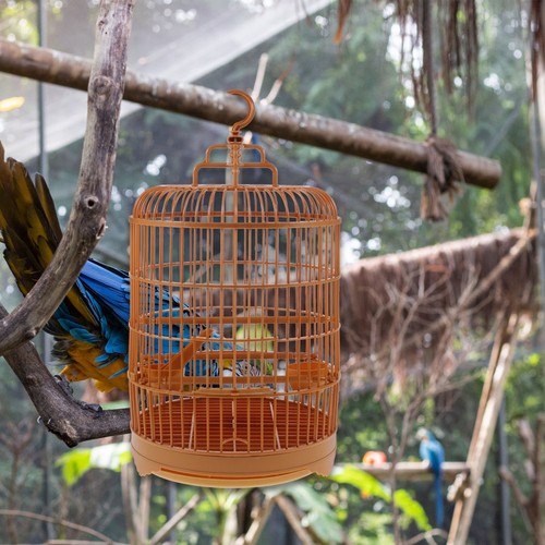 Cage oiseaux vintage de - cage, À