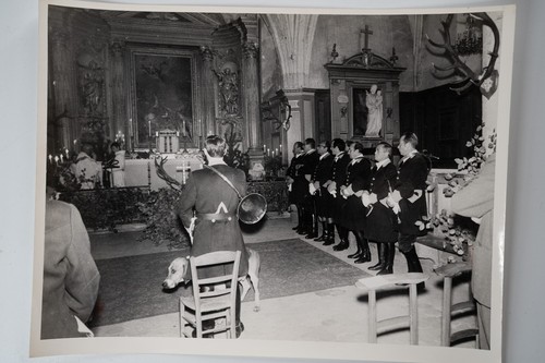 Photo silver hunting - photo,