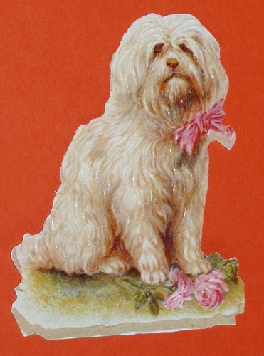 Chromo decoupi 1880 1900 - chromo, chien