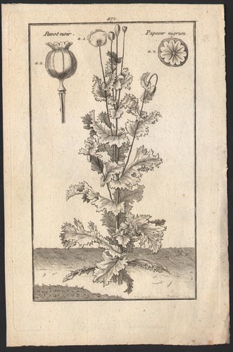 1760 rare gravure - gravure, noir
