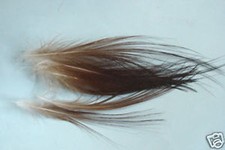 12 x plumes  SPEY HACKLE