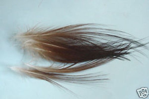 Plumes spey hackle - x,