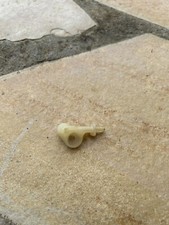 Pièce Plastique Tronçonneuse Stihl A Identifier?