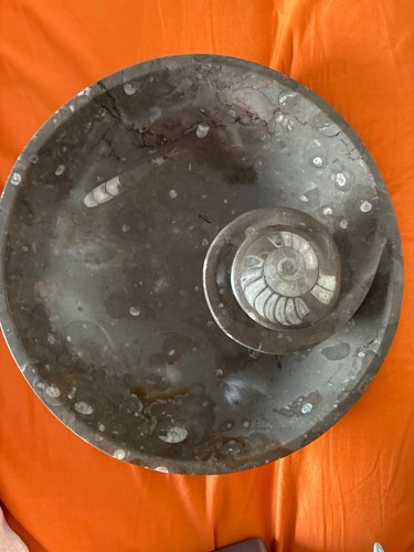 Vasque pierre fossilière - vasque,
