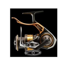 Moulinet de pêche Daiwa 22