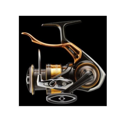 Moulinet pêche daiwa - de,