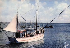 29 CORNOUAILLE THONIERS AVEC