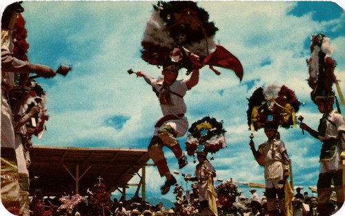Cpm danza la pluma - danza,
