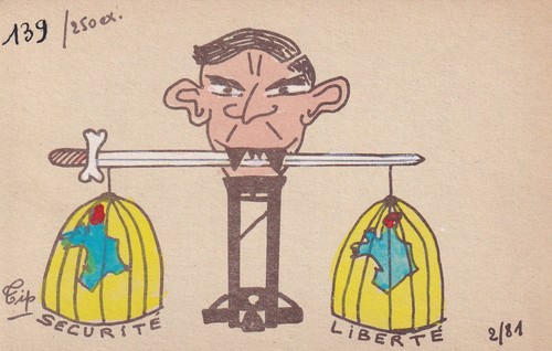 Postcard carte postale - 🦬postcard/carte,