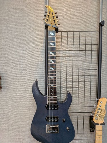 Electric guitar caparison - guitar,