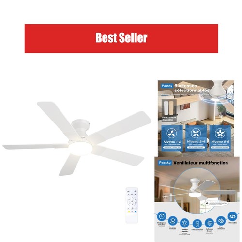 Passky ventilateur plafond - passky,