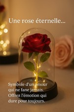Rose  éternelle Pour Cadeau  ,Anniversaire ,ST Valentin ,Noel ,Fêtes Des Mères