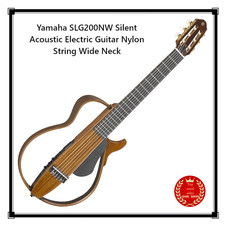 Guitare électrique acoustique