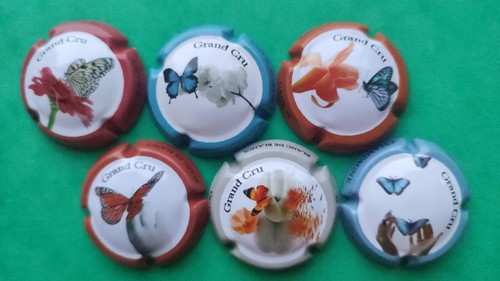 Caux 23e papillons 6 - caux,
