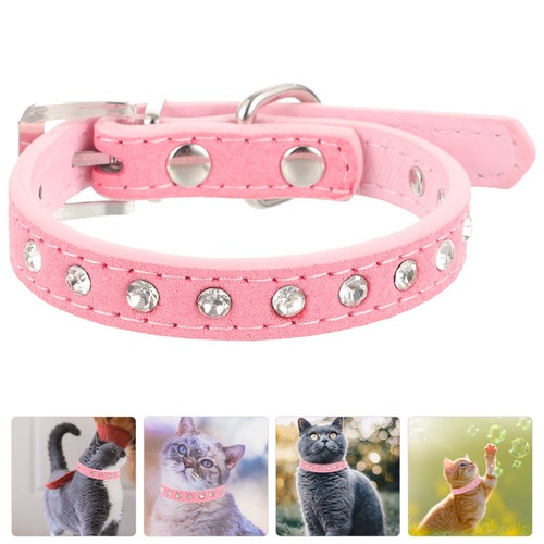 Collerette chien colier - collerette, pour