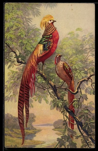 Carte postale artiste - carte, d'artiste