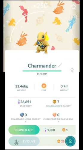 Pokémon - , go