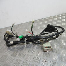 Faisceau électrique SYM