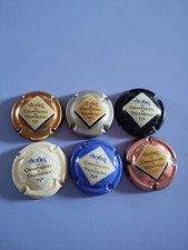 lot de 6 capsules de champagne: les champagnes de vignerons