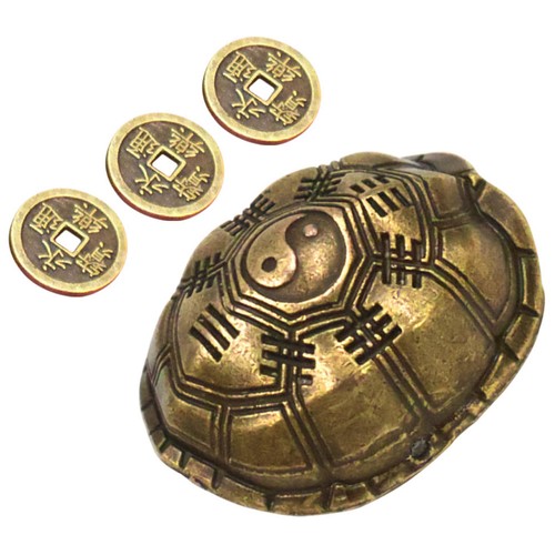 Carapace tortue accessoires - de,
