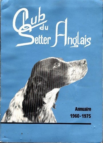 Club setter anglais - club, du