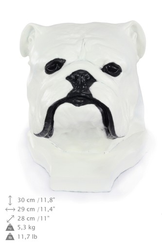 Bulldog anglais blanc grande - anglais,