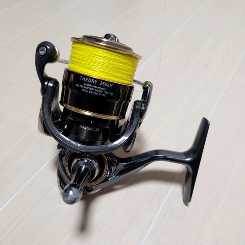 Daiwa theory 2506h - daiwa, 17
