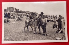50  cpsm petit format , saint pair sur mer , scène de plage , a dos d'ane