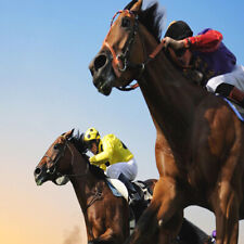 METHODE de TURF :  TIERCE 98