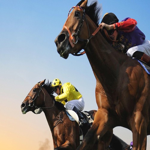Methode turf tierce 98 - de,