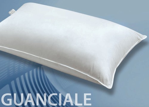 Oreiller lit duvet - duvet, canard