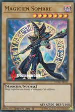 ♦Yu-Gi-Oh!♦ Magicien Sombre (Dark Magician) : DUPO-FR101 -VF/Ultra Rare-