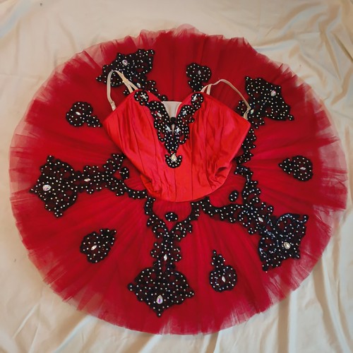Professional ballet tutu - ballet,