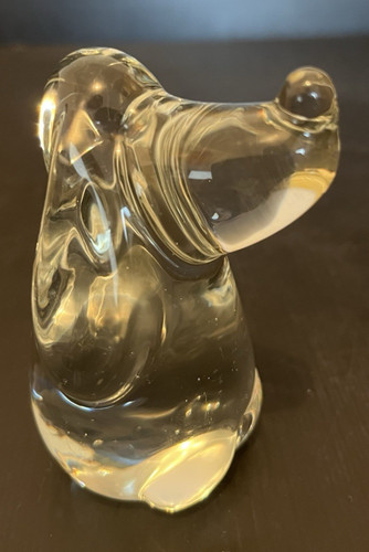 Chien teckel basset pate de - teckel, en