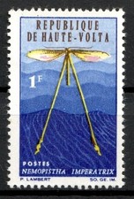 Timbre / STAMP  Colonie