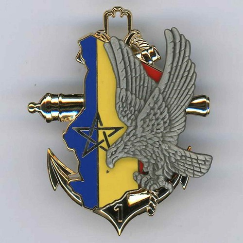 Epervier opération 1 - epervier, 1°